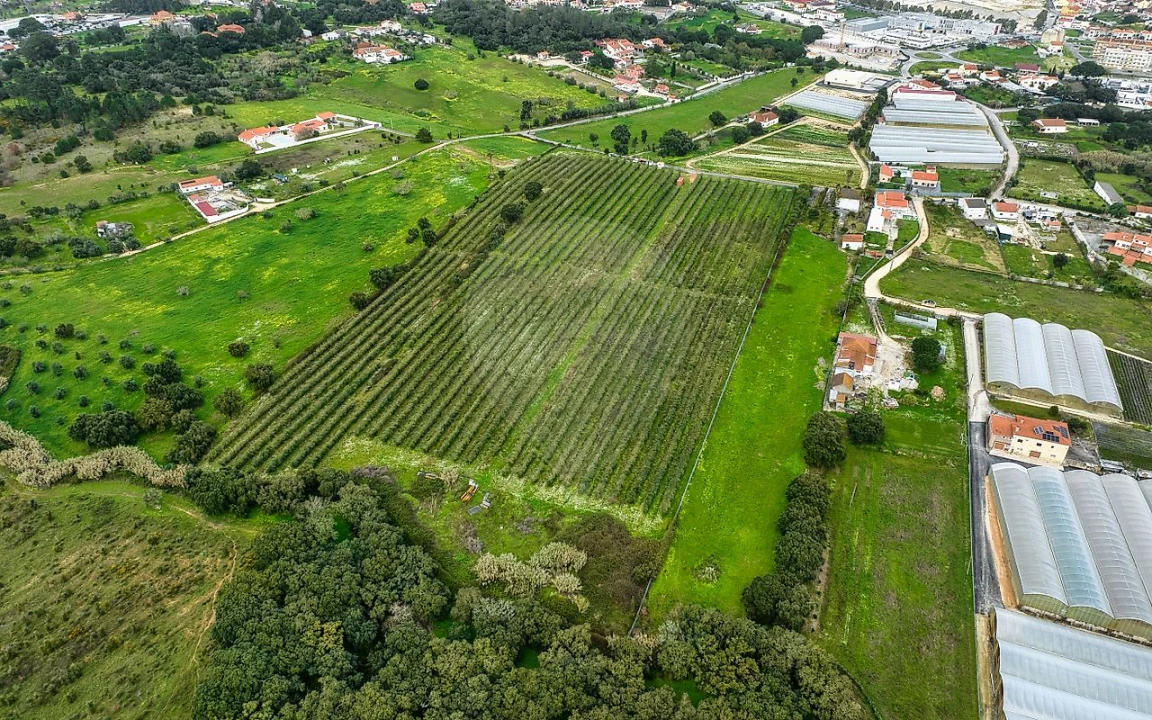 Terreno para Venda em Cartaxo e Vale da Pinta Foto 31