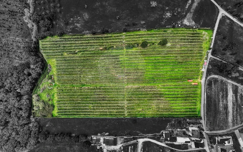 Terreno para Venda em Cartaxo e Vale da Pinta Foto 29