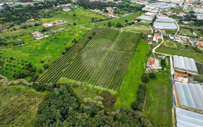 Terreno para Venda em Cartaxo e Vale da Pinta Foto 31