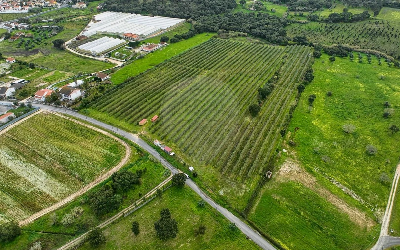 Terreno para Venda em Cartaxo e Vale da Pinta Foto 3