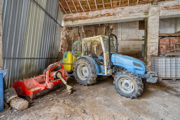 Terreno para Venda em Cartaxo e Vale da Pinta Foto 24