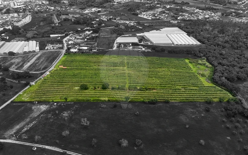 Terreno para Venda em Cartaxo e Vale da Pinta Foto 8