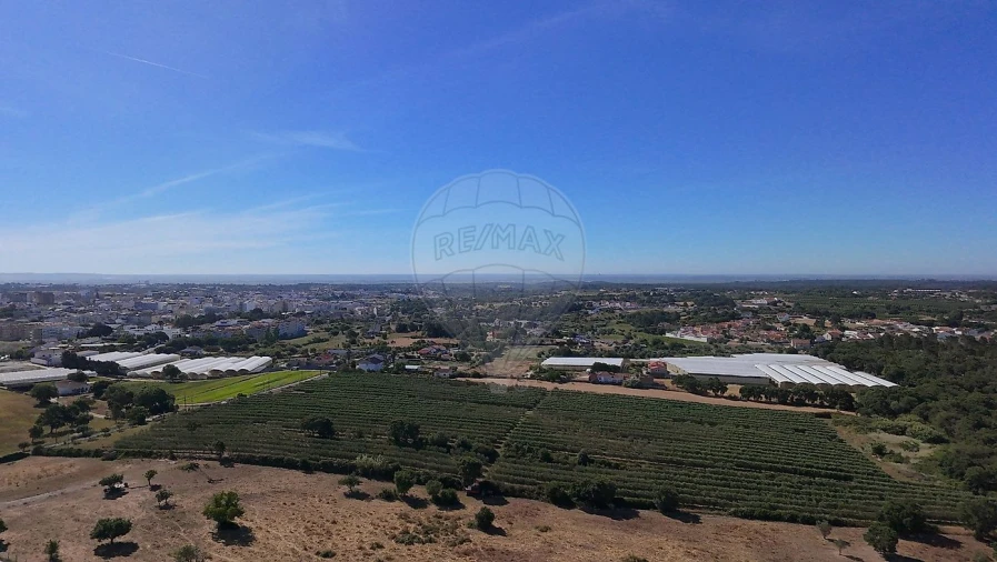 Terreno para Venda em Cartaxo e Vale da Pinta Foto 33