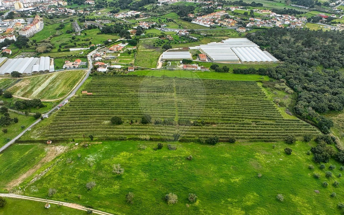 Terreno para Venda em Cartaxo e Vale da Pinta Foto 9