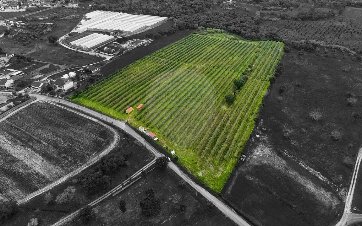 Terreno para Venda em Cartaxo e Vale da Pinta Foto 27