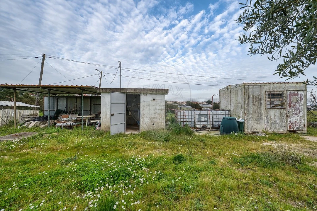 Terreno para Venda em Cartaxo e Vale da Pinta Foto 19
