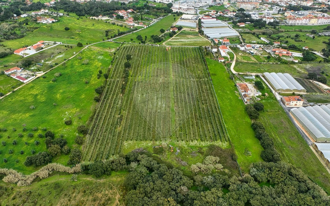 Terreno para Venda em Cartaxo e Vale da Pinta Foto 2