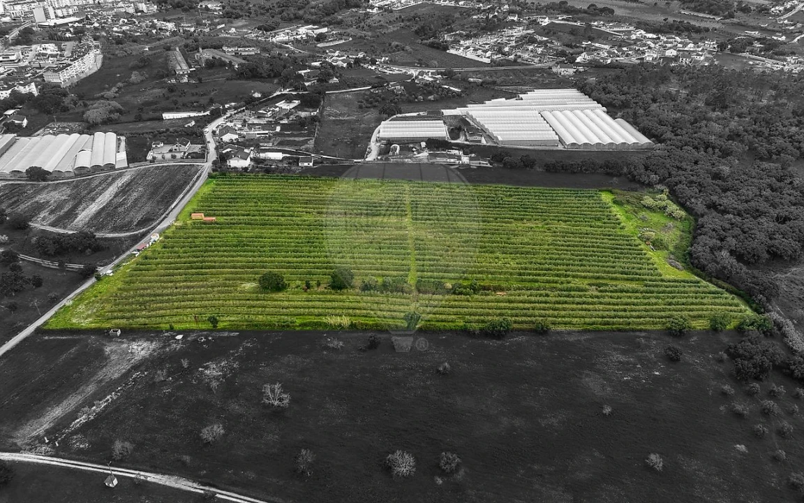 Terreno para Venda em Cartaxo e Vale da Pinta Foto 8
