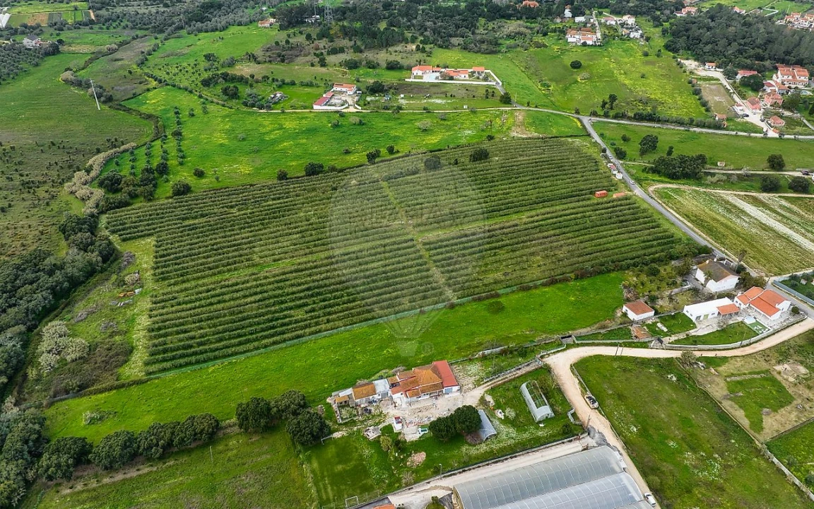 Terreno para Venda em Cartaxo e Vale da Pinta Foto 7