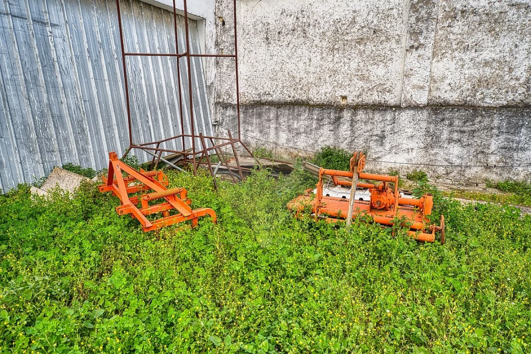 Terreno para Venda em Cartaxo e Vale da Pinta Foto 25