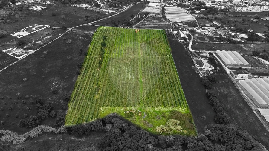 Terreno para Venda em Cartaxo e Vale da Pinta