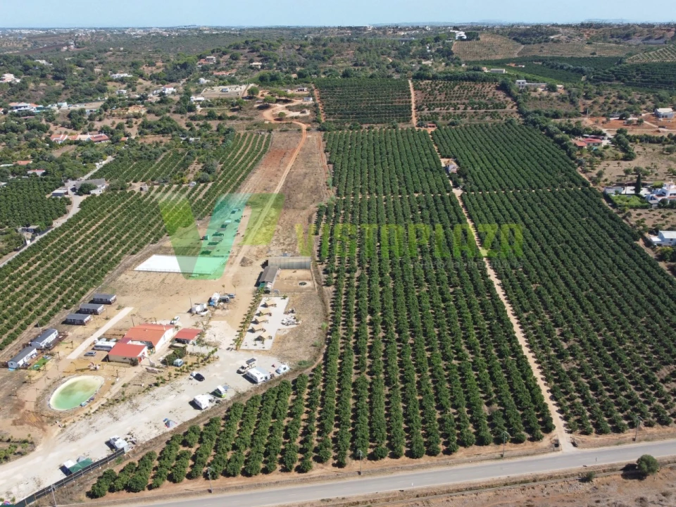 Terreno Misto para Venda em Porches Foto 1