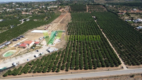 Terreno Misto para Venda em Porches
