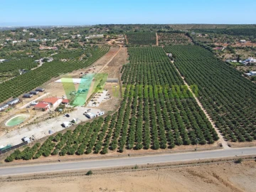 Terreno Misto para Venda em Porches