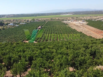 Terreno Misto para Venda em Porches