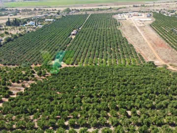 Terreno Misto para Venda em Porches