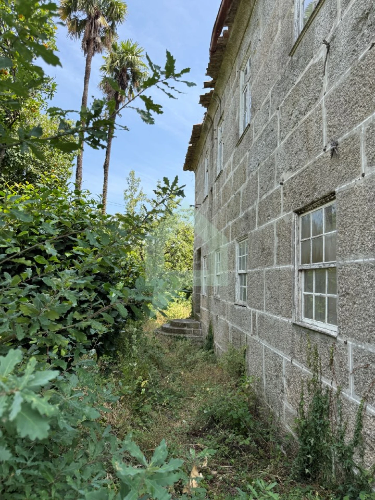 Quinta T9 para Venda em Tabuadelo e São Faustino Foto 3