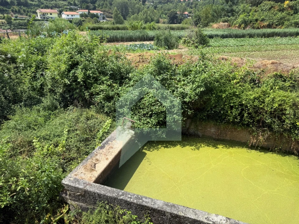 Quinta T9 para Venda em Tabuadelo e São Faustino Foto 5