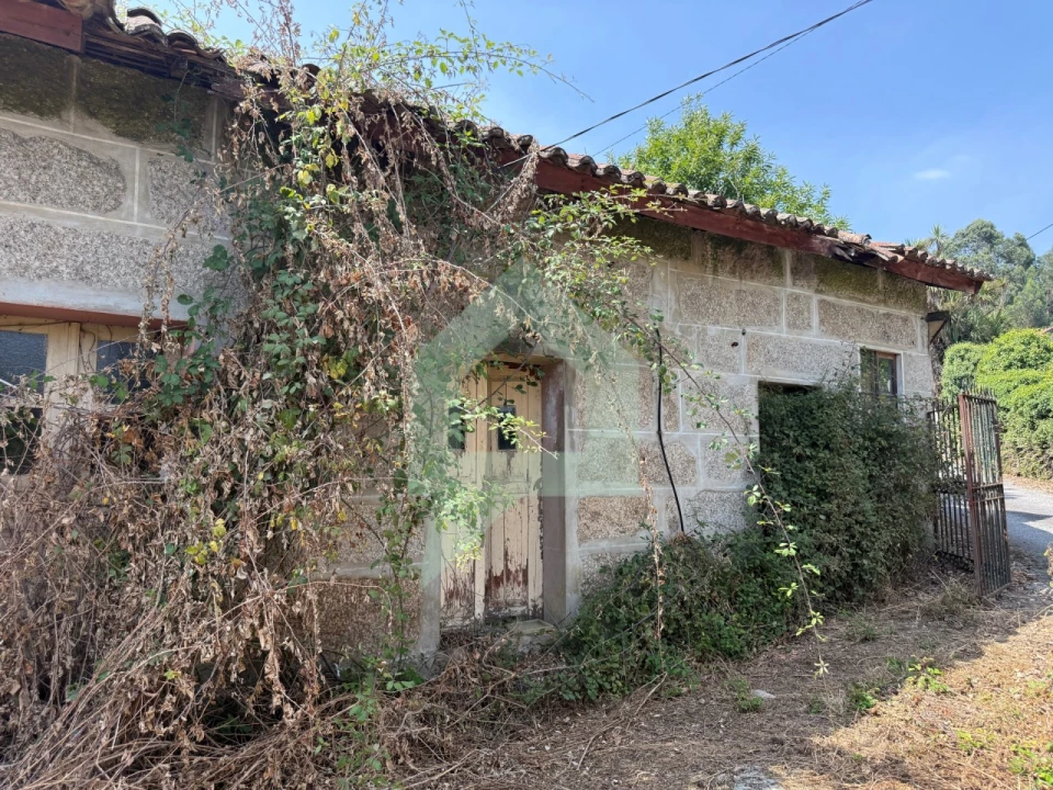 Quinta T9 para Venda em Tabuadelo e São Faustino Foto 15