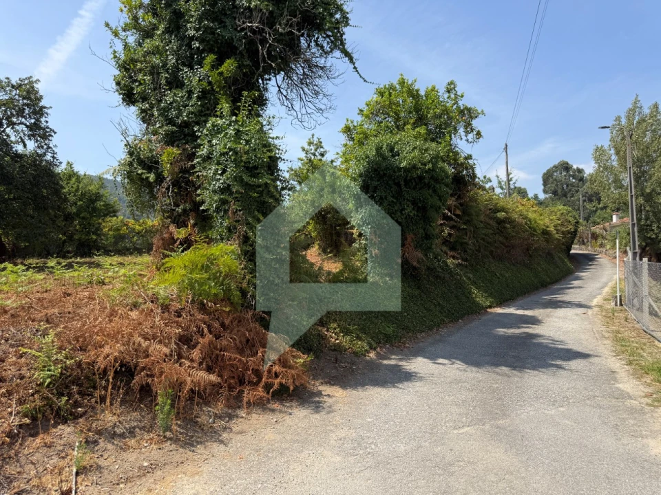 Quinta T9 para Venda em Tabuadelo e São Faustino Foto 21