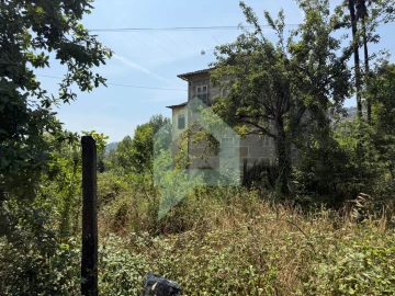Quinta T9 para Venda em Tabuadelo e São Faustino
