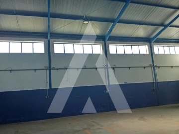 Armazém para Arrendamento em Águeda e Borralha