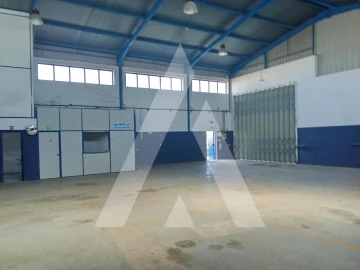 Armazém para Arrendamento em Águeda e Borralha