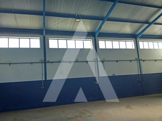 Armazém para Arrendamento em Águeda e Borralha Foto 20