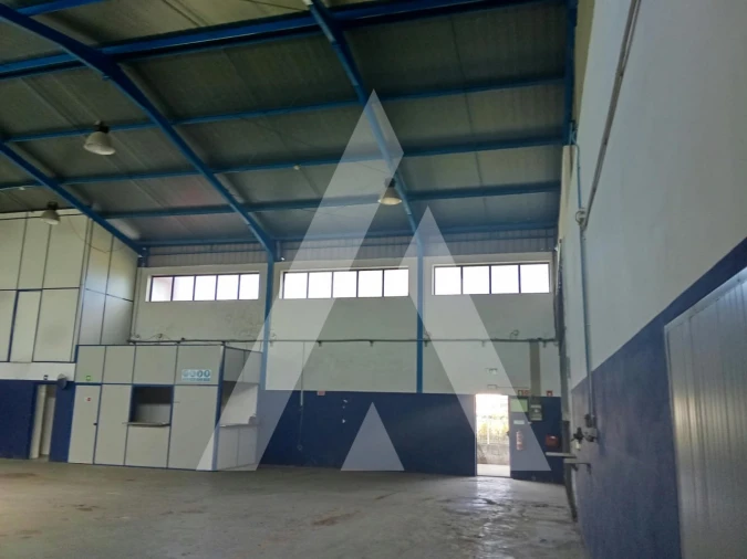 Armazém para Arrendamento em Águeda e Borralha Foto 22