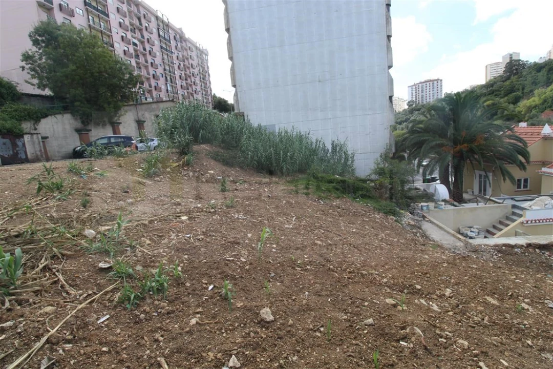 Terreno para Venda em Queluz e Belas Foto 7
