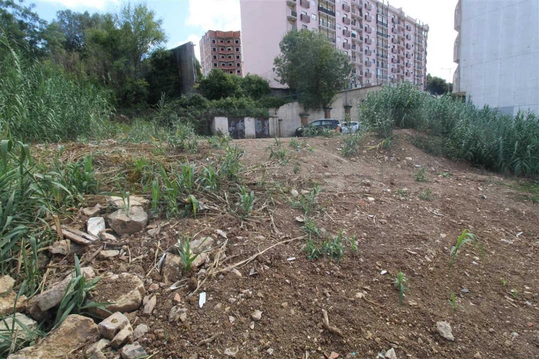 Terreno para Venda em Queluz e Belas Foto 8