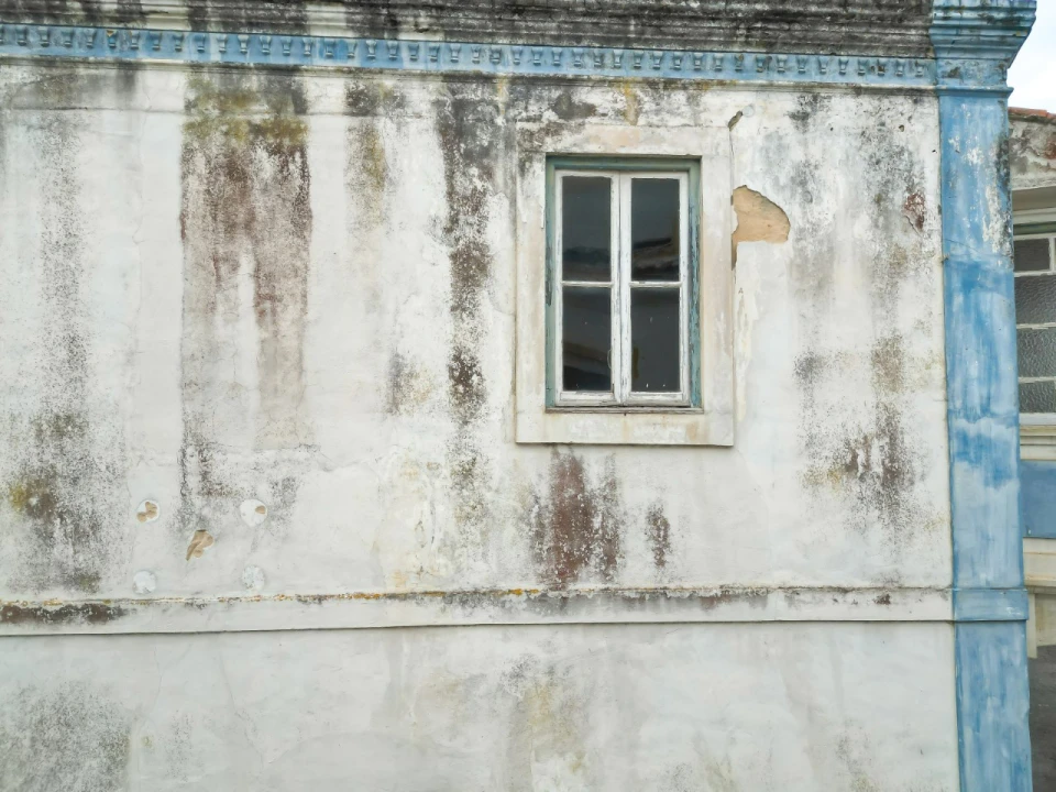 Prédio para Venda em Valado dos Frades Foto 21