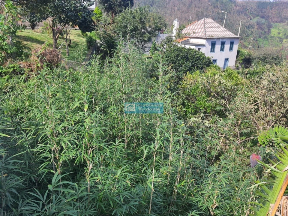 Moradia T4 para Venda em Ribeira da Janela Foto 15