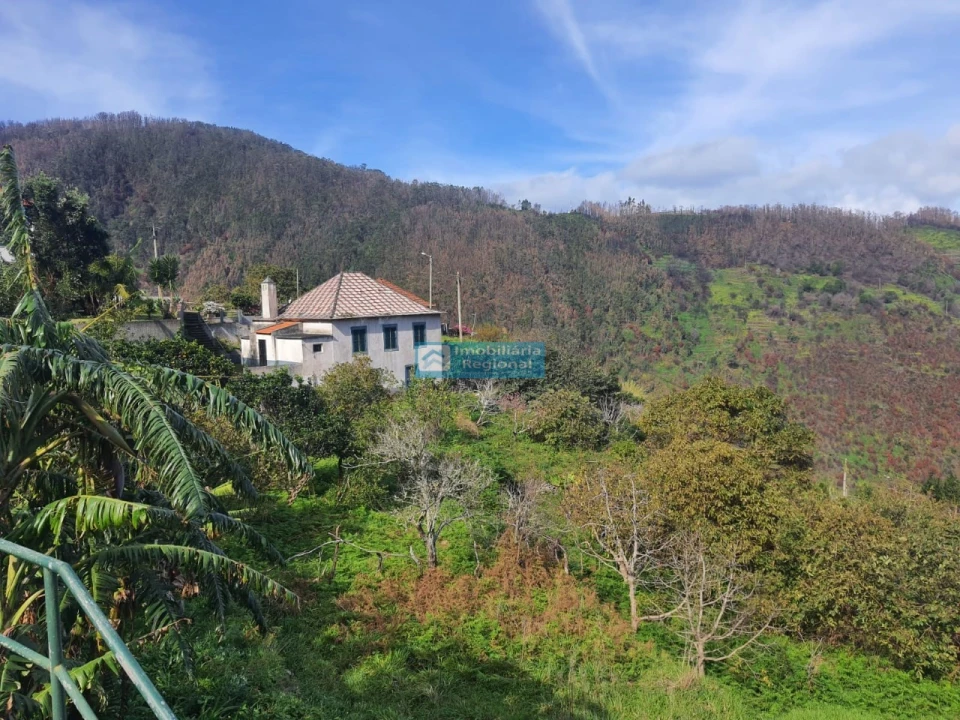 Moradia T4 para Venda em Ribeira da Janela Foto 1