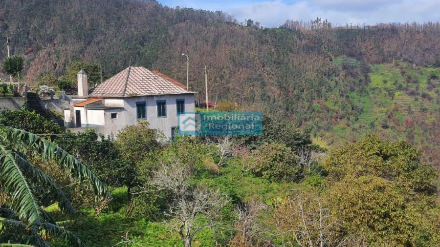 Moradia T4 para Venda em Ribeira da Janela