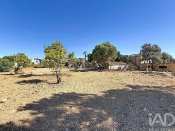 Quinta para Venda em Quelfes
