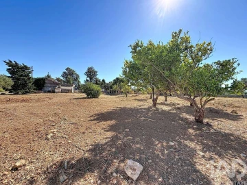 Quinta para Venda em Quelfes