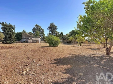Quinta para Venda em Quelfes