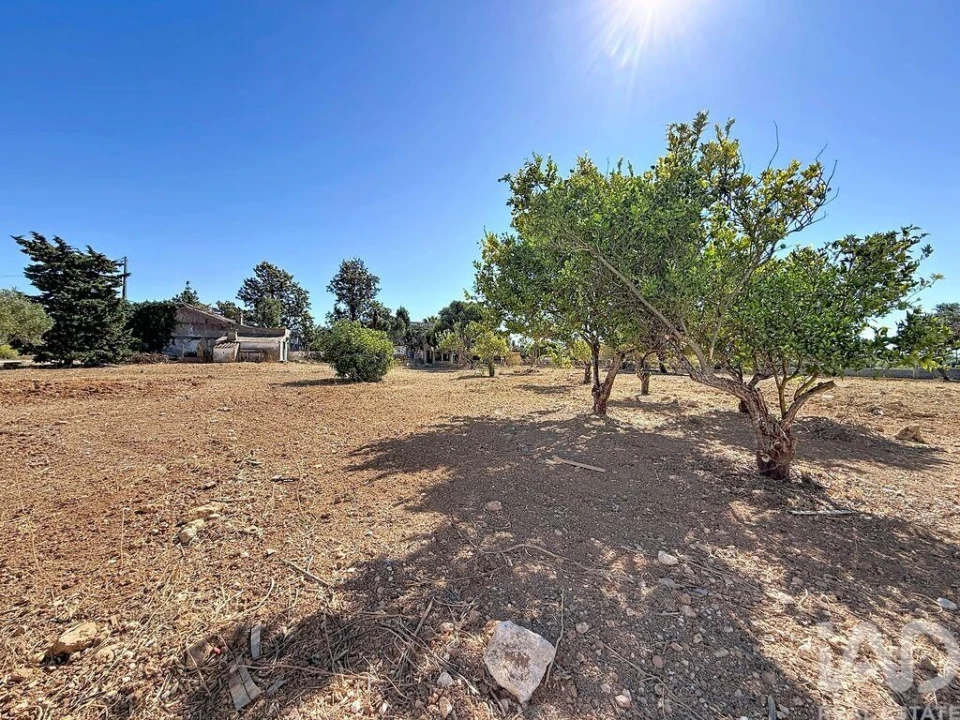 Quinta para Venda em Quelfes Foto 24
