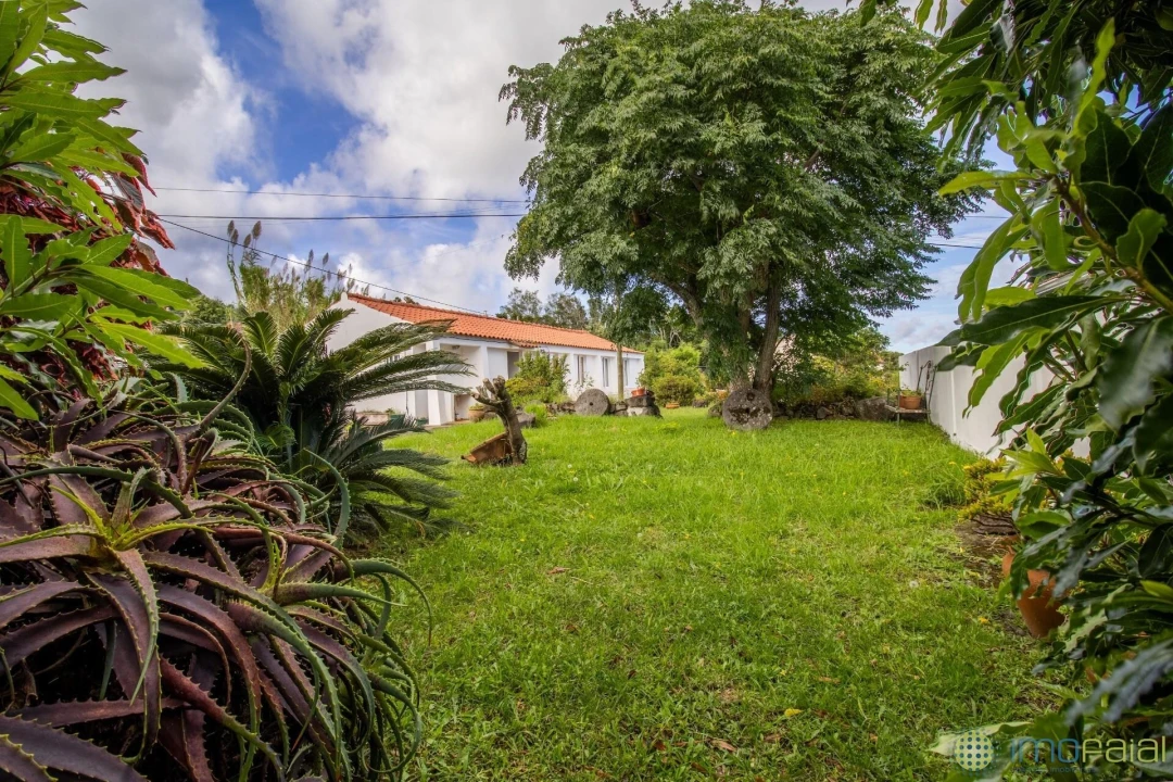 Moradia T2 para Venda em Cedros Foto 36