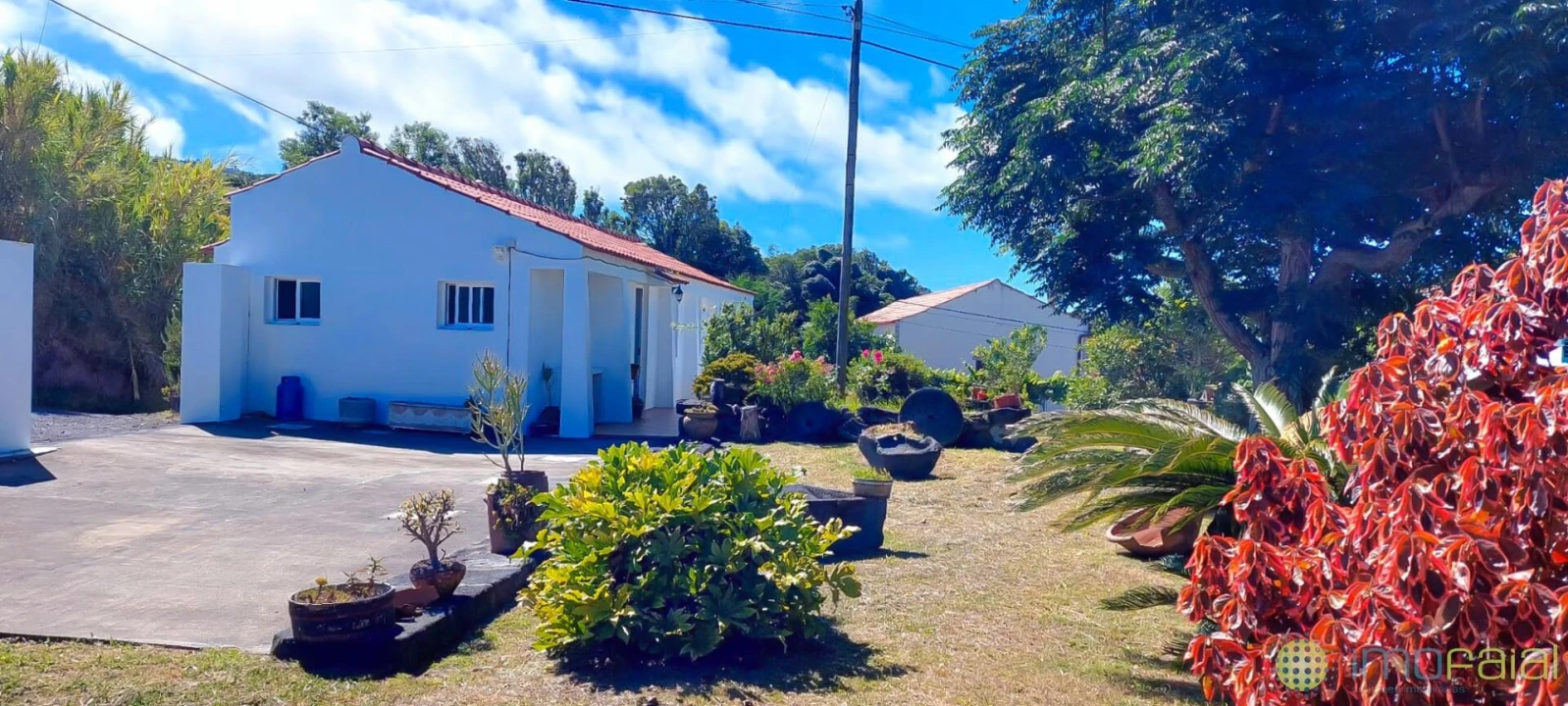 Moradia T2 para Venda em Cedros Foto 1