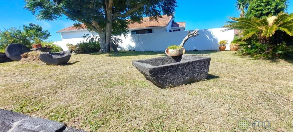 Moradia T2 para Venda em Cedros