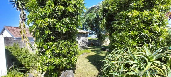 Moradia T2 para Venda em Cedros