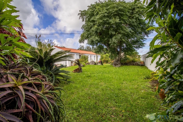 Moradia T2 para Venda em Cedros Foto 36
