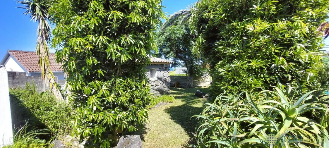Moradia T2 para Venda em Cedros Foto 21