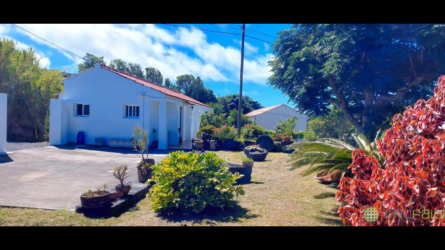 Moradia T2 para Venda em Cedros
