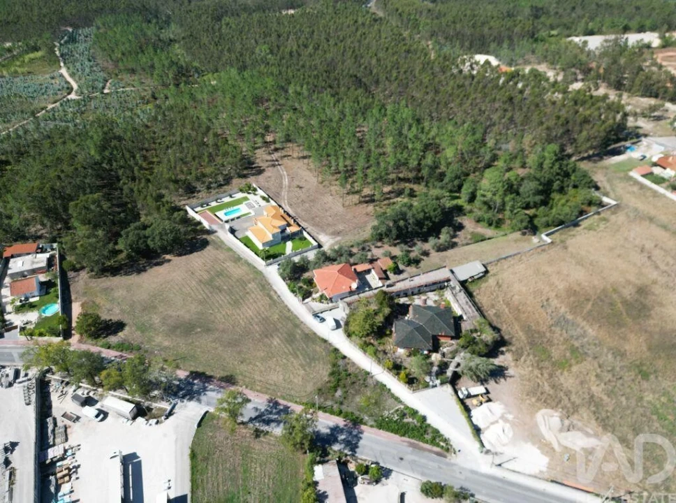 Terreno para Venda em Juncal Foto 4