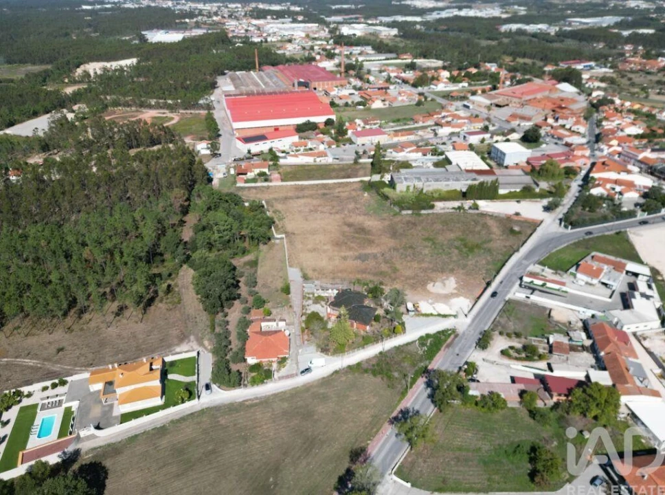 Terreno para Venda em Juncal Foto 6