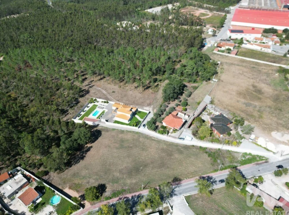 Terreno para Venda em Juncal Foto 5