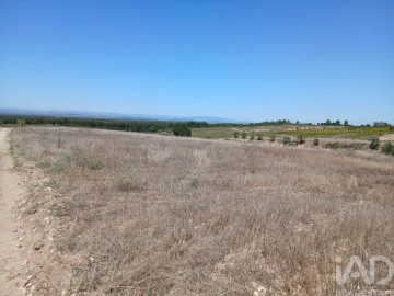 Terreno para Venda em Alpiarça